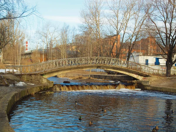 Most v parku — Stock fotografie