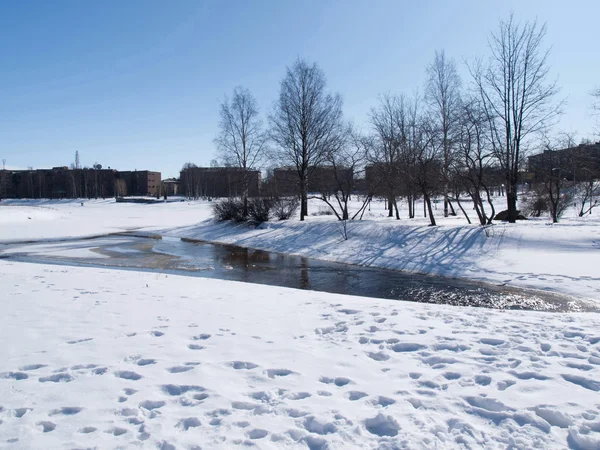 Winter landscape — Stock Photo, Image