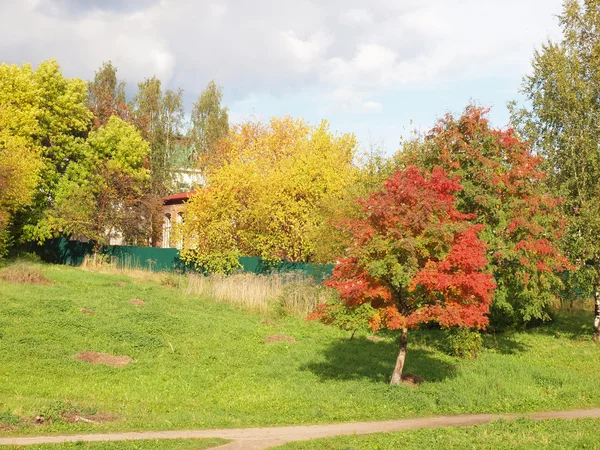 Parque — Fotografia de Stock