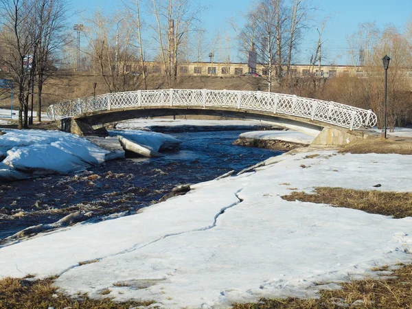 Η γέφυρα στο πάρκο — Φωτογραφία Αρχείου