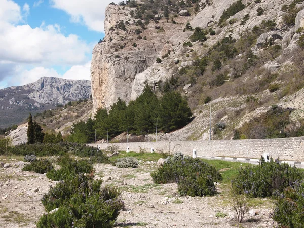 Route, forêt et rocher — Photo