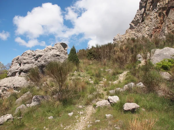 Bomen, hemel en rock — Stockfoto