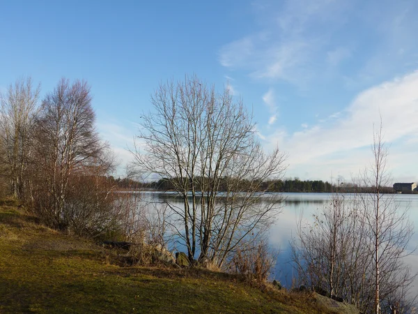 Coast of lake — Stock Photo, Image