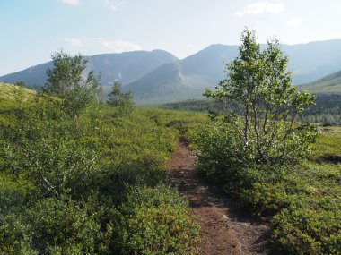 Dağlardaki Yol