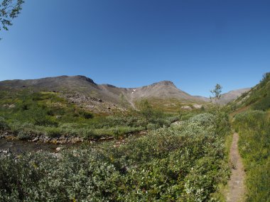 Dağlardaki Yol