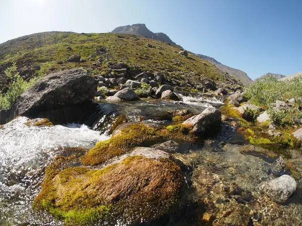 Río de montaña — Foto de Stock