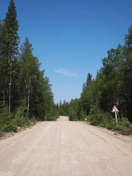 Strada forestale — Foto Stock