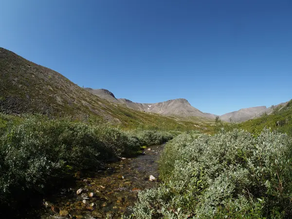 Rivière de montagne — Photo