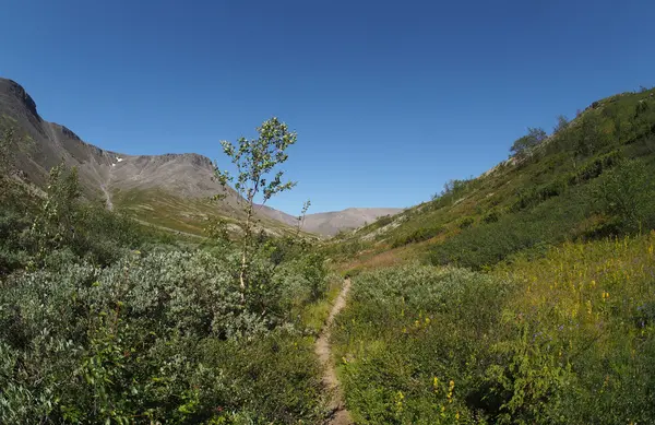 Caminho nas montanhas — Fotografia de Stock