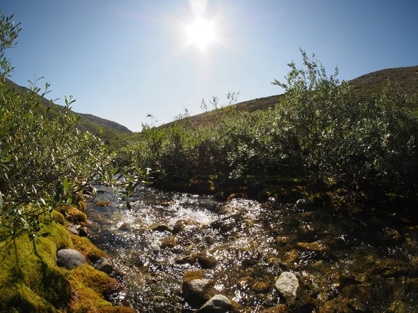 Río de montaña — Foto de Stock