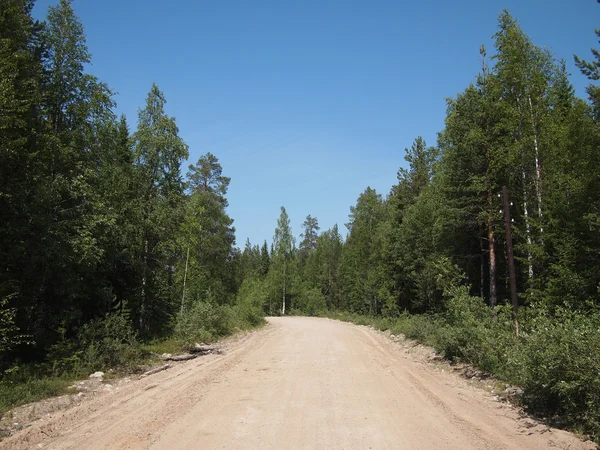 Road forest — Zdjęcie stockowe