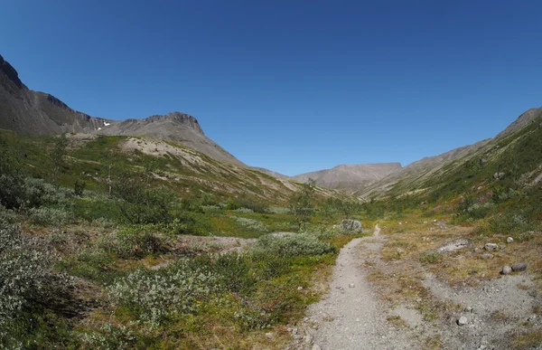 Chemin dans les montagnes — Photo