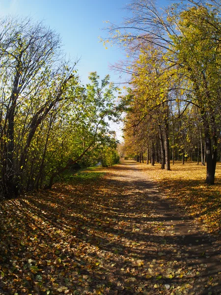 Parco autunnale — Foto Stock