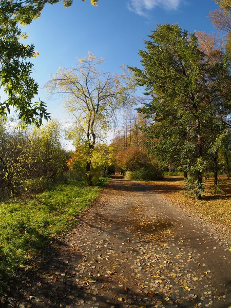 Осенний парк — стоковое фото