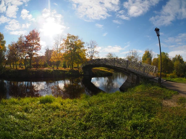 Most w jesiennym parku — Zdjęcie stockowe