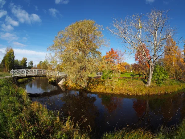 Ponte no parque de outono — Fotografia de Stock