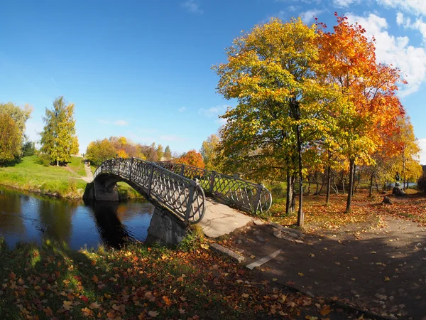 Most w jesiennym parku — Zdjęcie stockowe