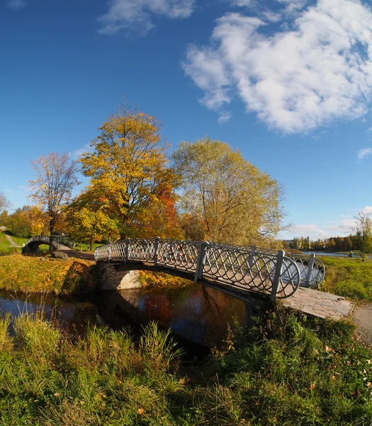 Ponte no parque de outono — Fotografia de Stock
