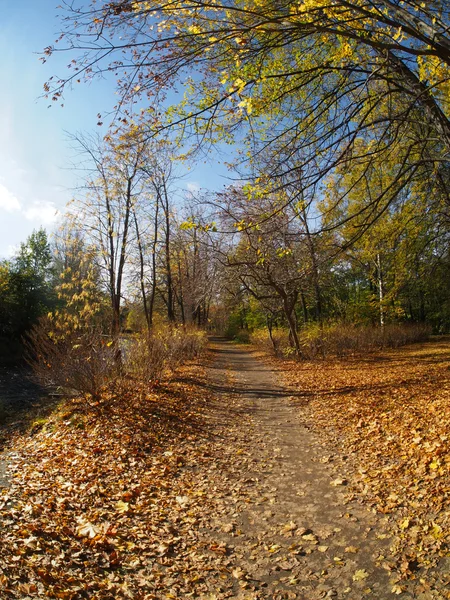 Höstpark — Stockfoto