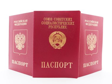 beyaz zemin üzerinde pasaportu