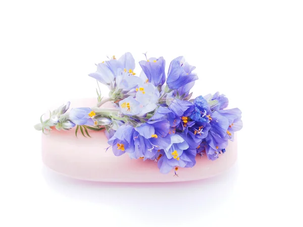 Tort Urodzinowy Rok Dla Maego Dziecka Bkitnym Glazury Tort Urodzinowy Rok Dla Maego Dziecka Bkitnym Glazury