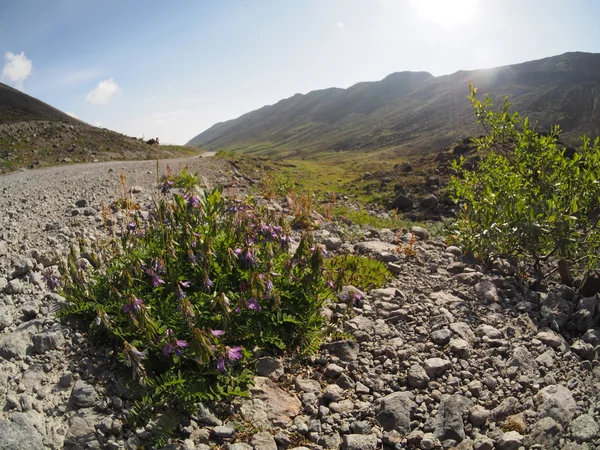 Montañas Khibiny —  Fotos de Stock