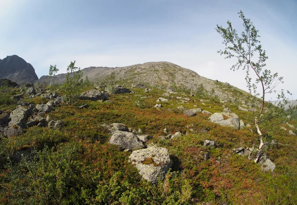 Khibiny hory — Stock fotografie