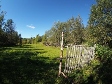 ormanda temizlenmesi