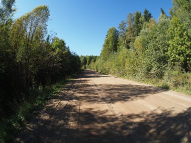 orman yolu