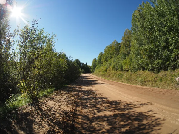 Forest road — Stockfoto