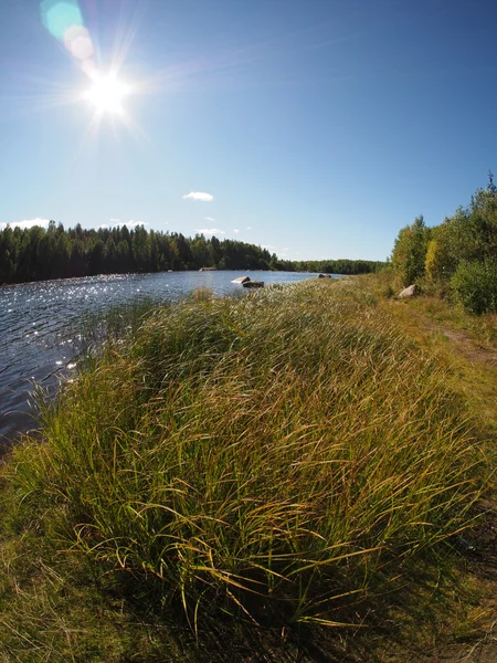 Riverside — Stock Photo, Image