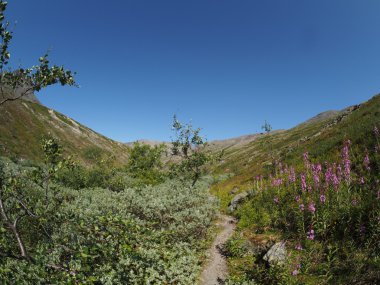 Dağlarda yol