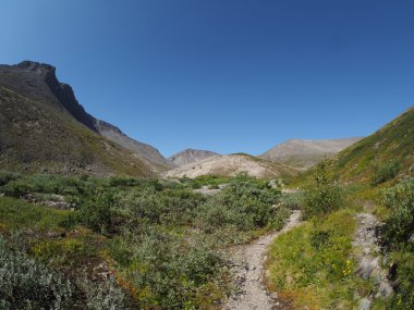 Dağlarda yol