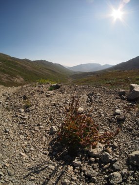 dağ tesisleri