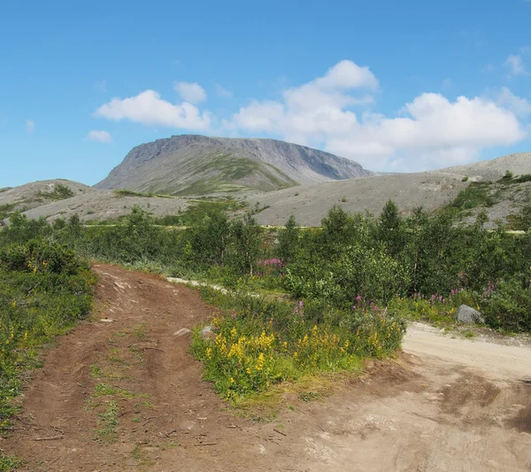 Dağlarda yol — Stok fotoğraf