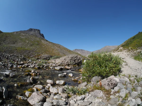 Rio das montanhas — Fotografia de Stock