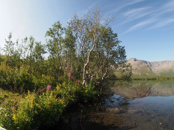 Sjö i fjällen — Stockfoto