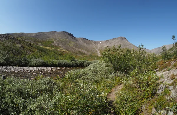 Mountain river — Stock Photo, Image