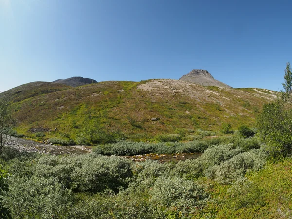 Bergrivier — Stockfoto