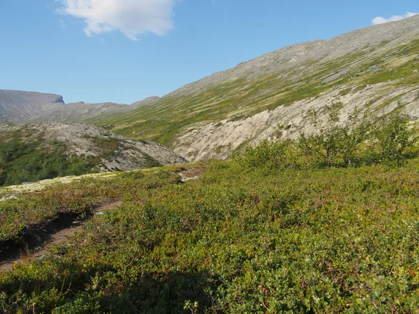 Khibiny hory — Stock fotografie