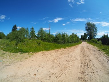 orman yolu