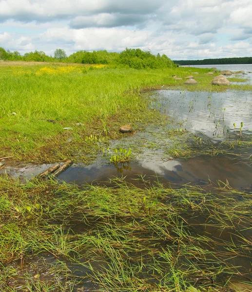 Fiume in estate — Foto Stock