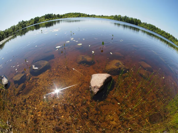 Jezero v létě — Stock fotografie