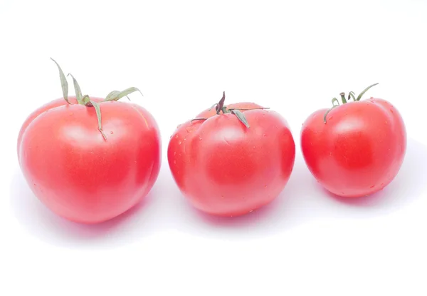 Tomate sobre fondo blanco — Foto de Stock