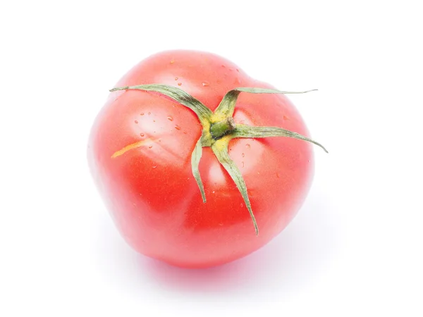 Tomate sobre fundo branco — Fotografia de Stock