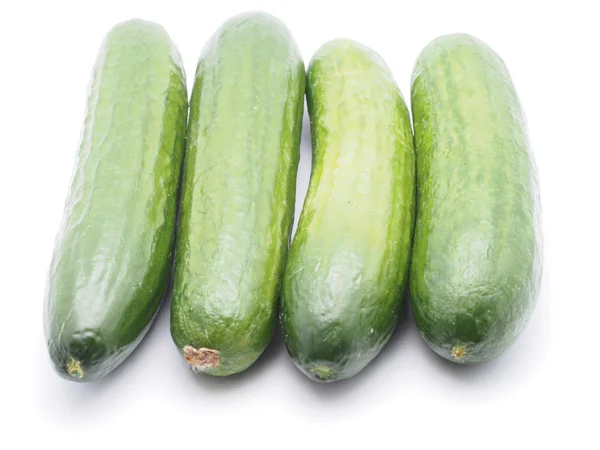 Cucumber on white background — Stock Photo, Image