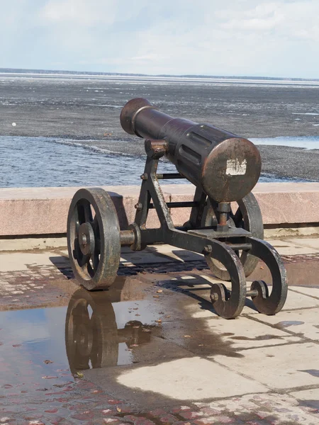 Kanone auf dem See — Stockfoto