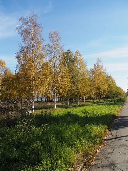 Parco in autunno — Foto Stock