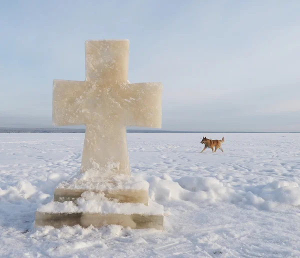 Cruz de hielo y perro en el lago —  Fotos de Stock