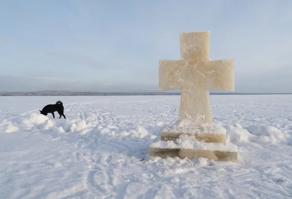 Cruz de hielo y perro en el lago —  Fotos de Stock